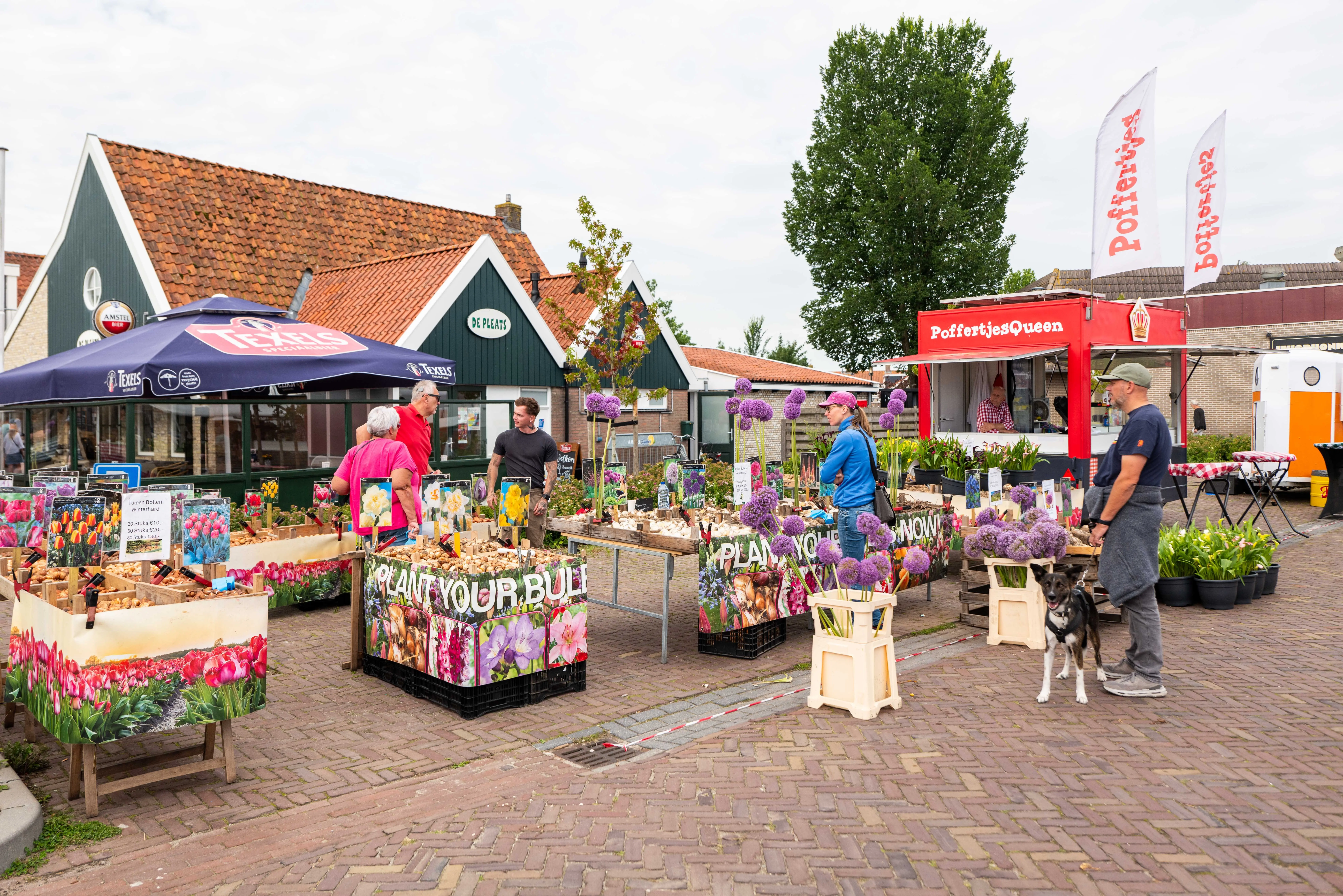 Boerenmarkt Woudsend - bloemenkweker