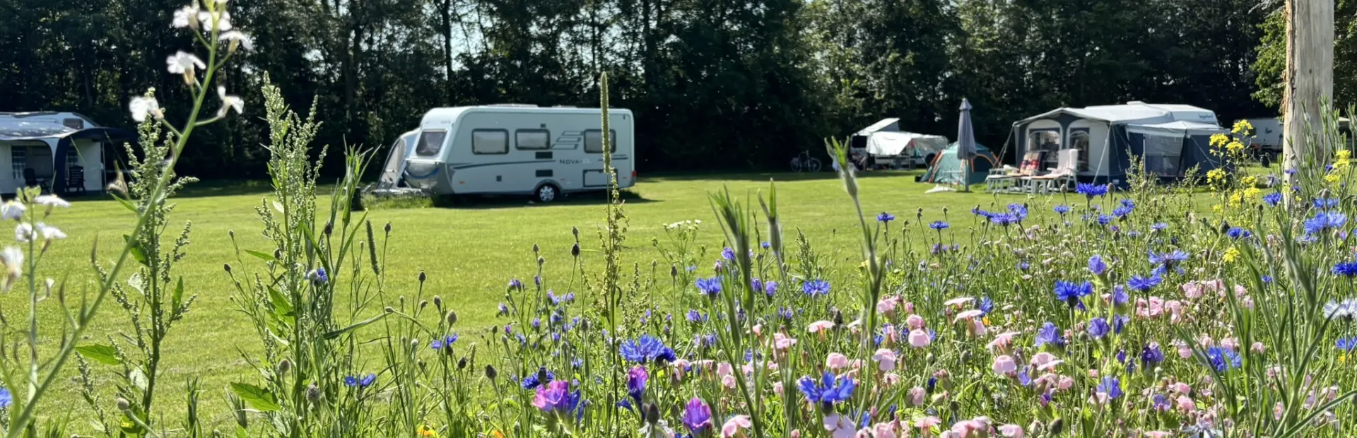 Camping Indijk juni 26 10