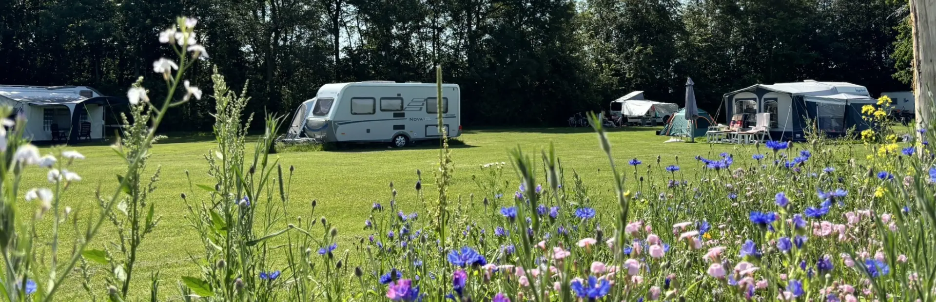 Camping Indijk juni 26 11