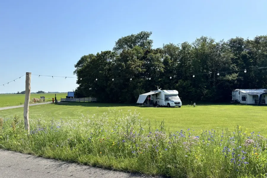 Camping Indijk juni 26 3