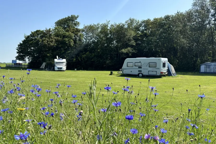 Camping Indijk juni 26 9