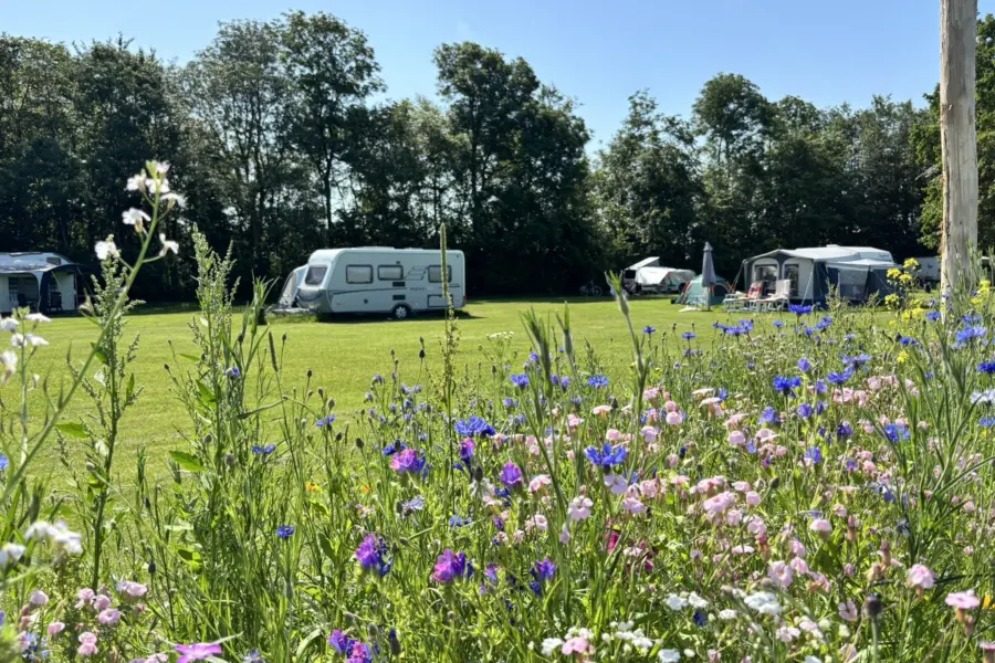 Camping Indijk juni 26 10