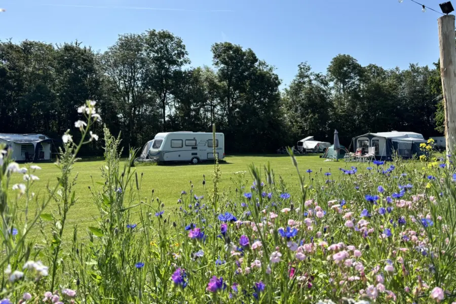 Camping Indijk juni 26 11