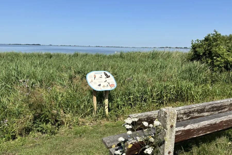 Vogelbord camping Indijk 1
