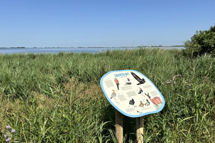 Vogelbord camping Indijk 2