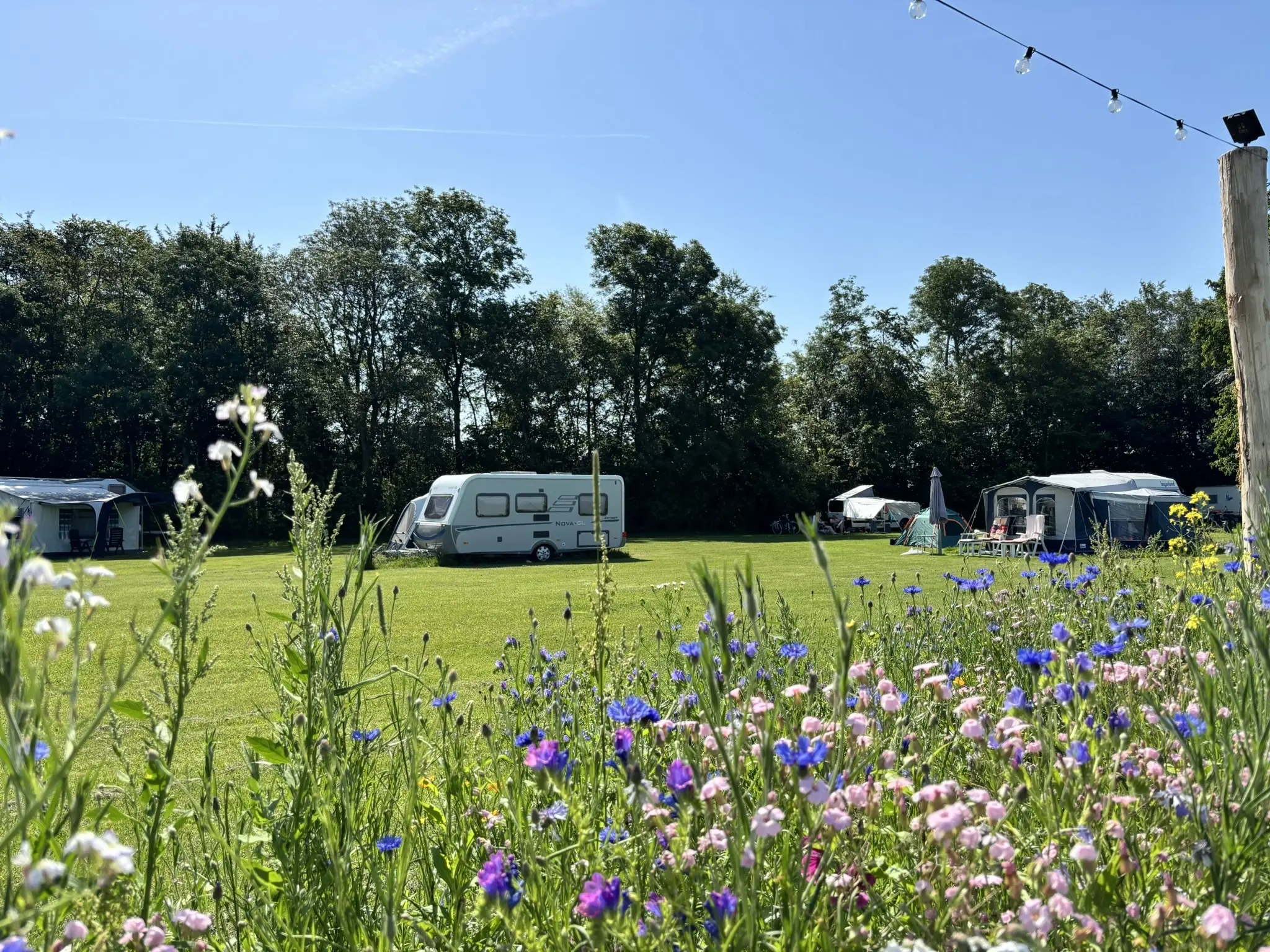 Camping Indijk juni 26 11