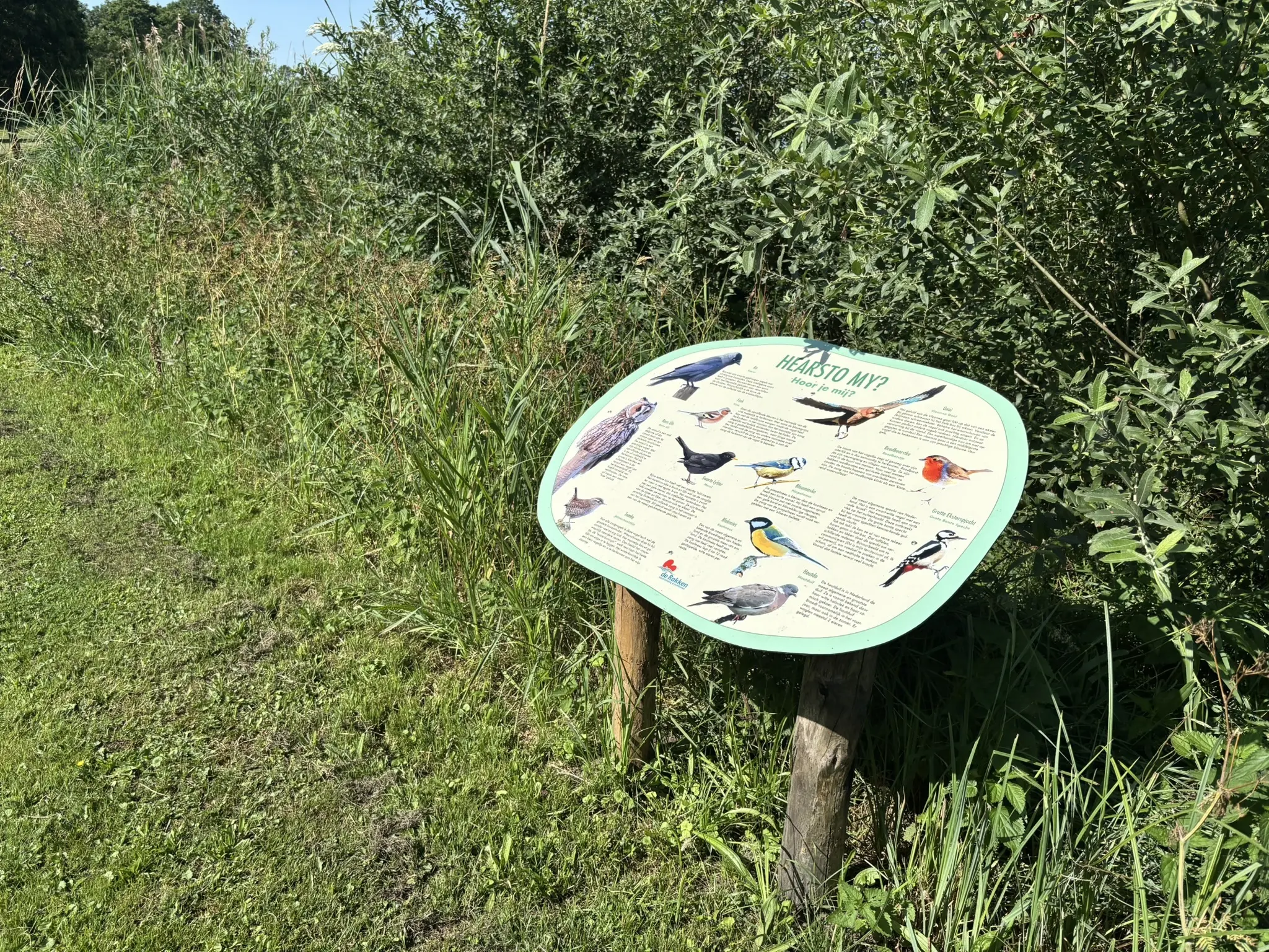 Vogelbord camping indijk 4