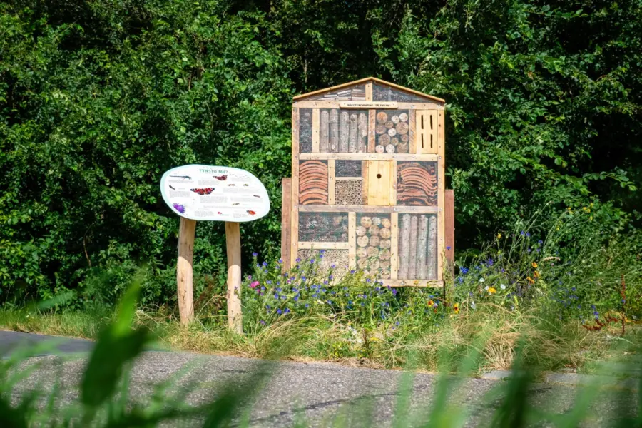 Insectencamping Indijk 2