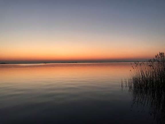 Indijk Natuurcamping de Rakken 2