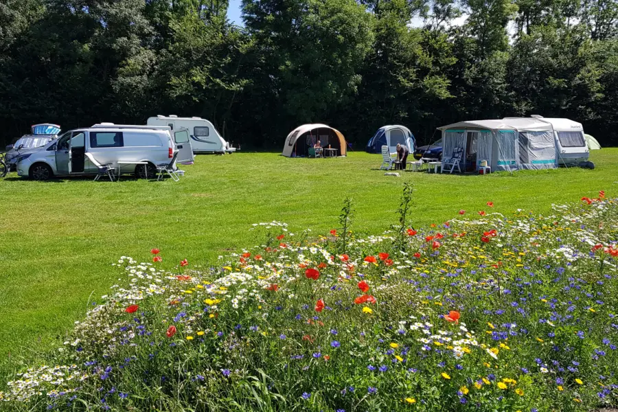 Indijk Natuurcamping de Rakken 5