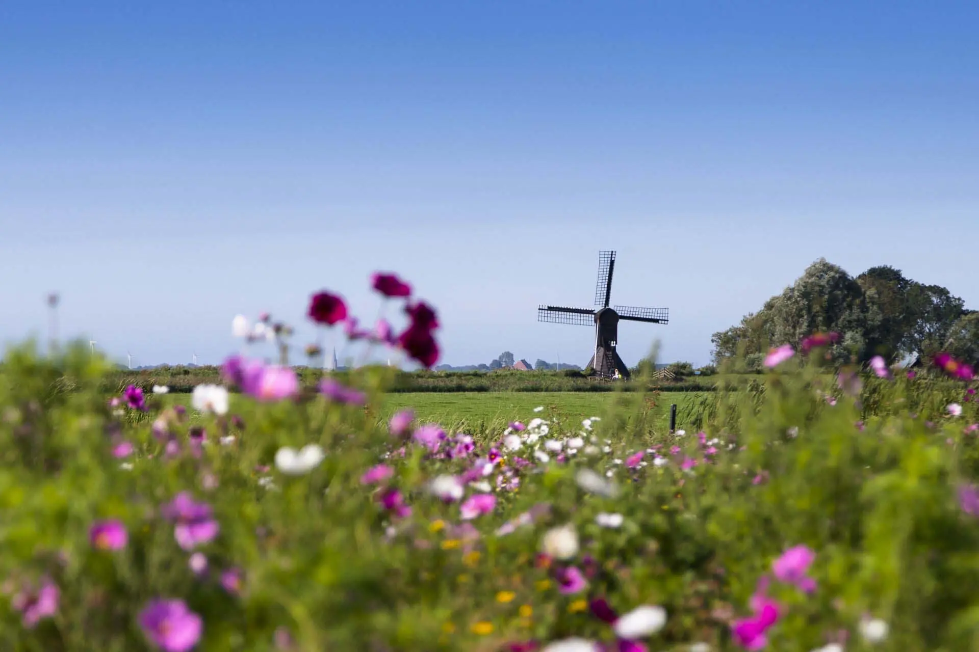 Waterland van Friesland Sandfirden Akkelien Reitsma LR