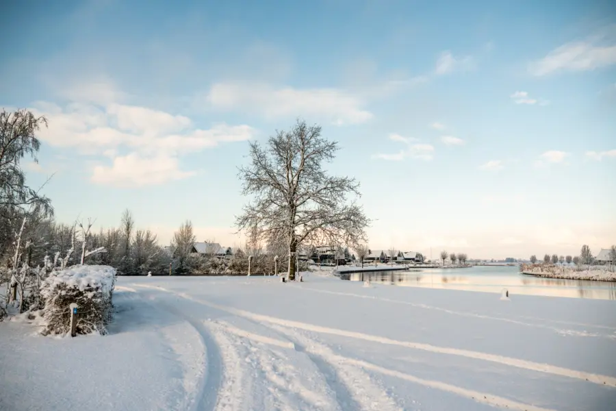 S en V veld in de sneeuw