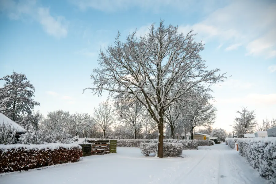 Winterweer op de Rakken