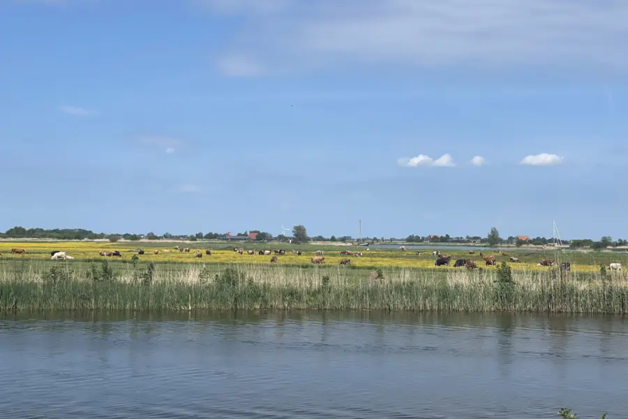 Trekkershut Standaard De Rakken