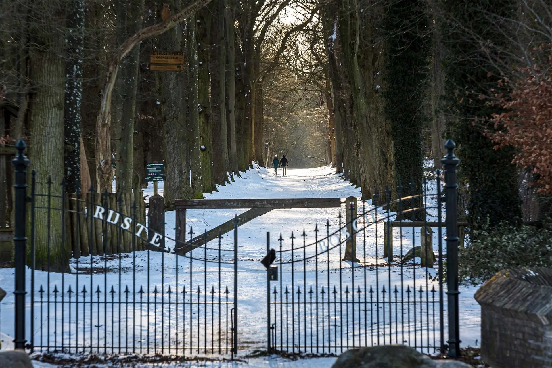 Waterland van Friesland Rijsterbos Thomas Vaer Fotografie LR