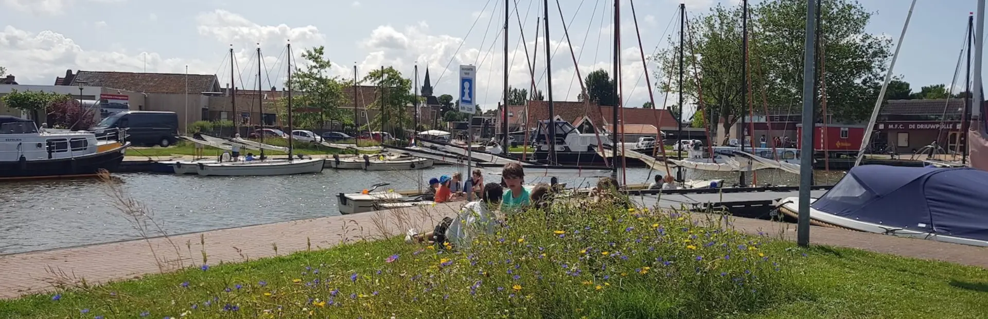 Wildgroei stimulatie ecosysteem