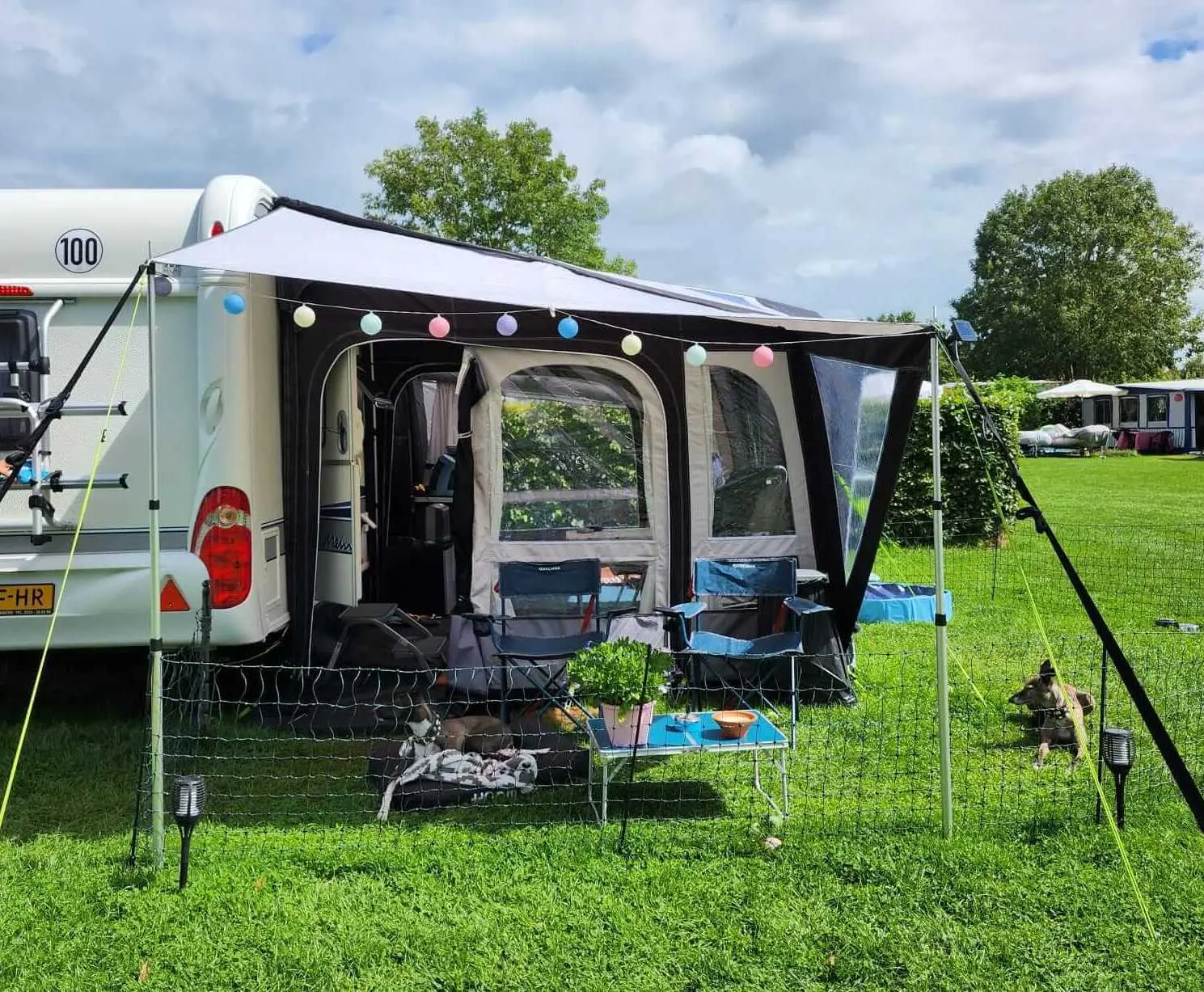 Kamperen met honden