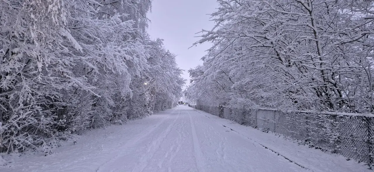 Thumbnail 9fcf50e5 df26 46df b151 032af3c95d60